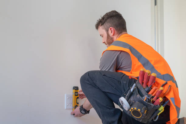 Best Local Electrician Companies  in Mount Vernon, MD